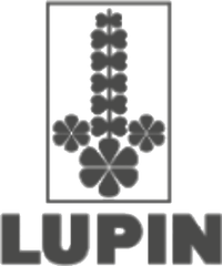 Lupin